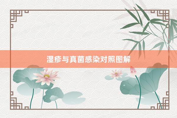 湿疹与真菌感染对照图解