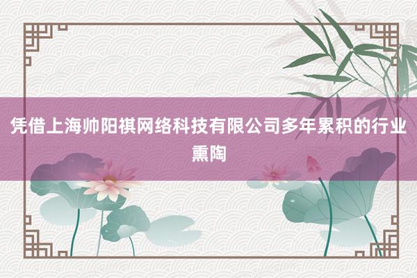 凭借上海帅阳祺网络科技有限公司多年累积的行业熏陶