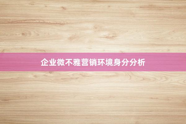企业微不雅营销环境身分分析